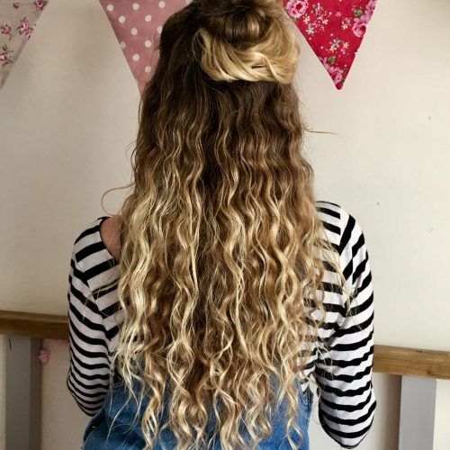 Half Up Curly Hairstyles With Highlights (Photo 11 of 20)