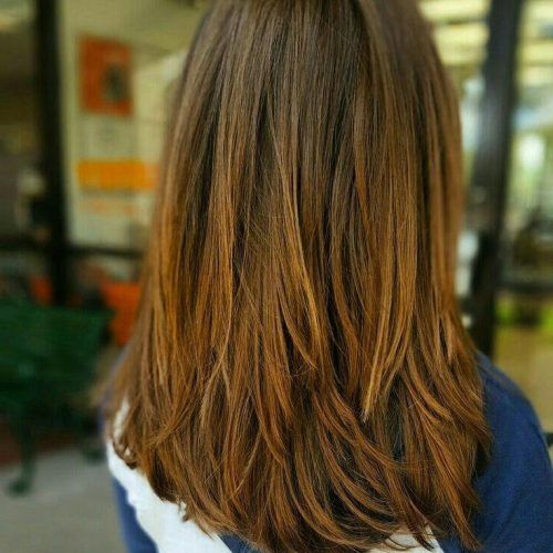 Long Haircuts With Layers (Photo 6 of 15)