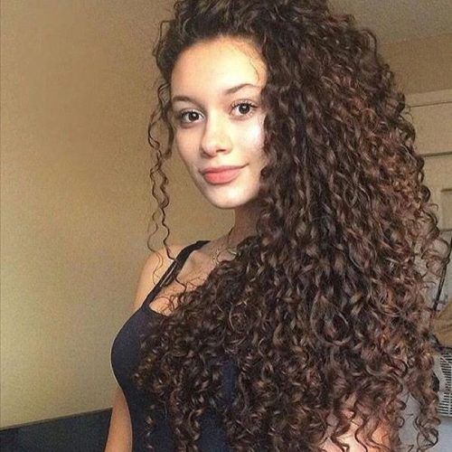 Long Hairstyles For Naturally Curly Hair (Photo 11 of 15)