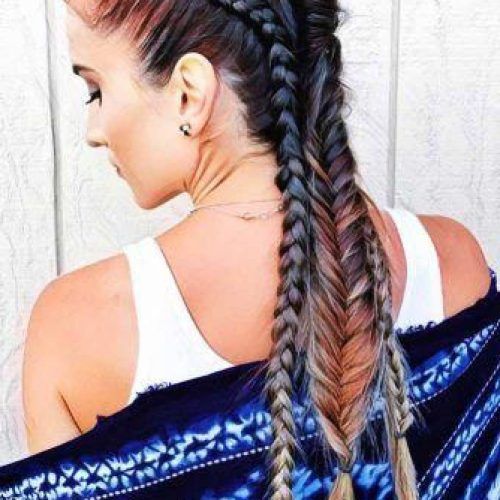 Mohawk French Braid Hairstyles (Photo 13 of 20)