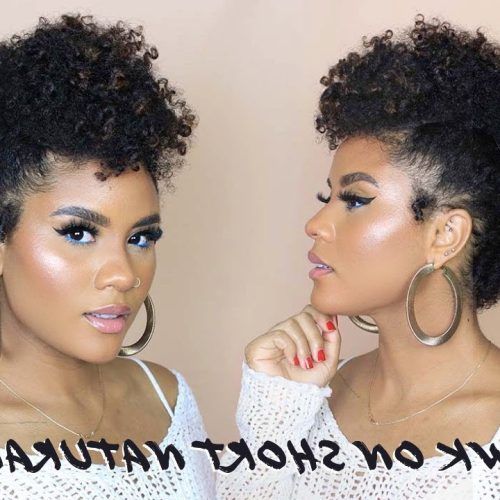 Natural Curls Mohawk Hairstyles (Photo 8 of 20)