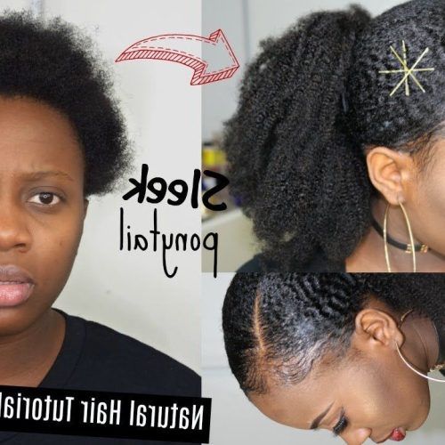 Natural High Ponytail Updo Hairstyles (Photo 16 of 20)