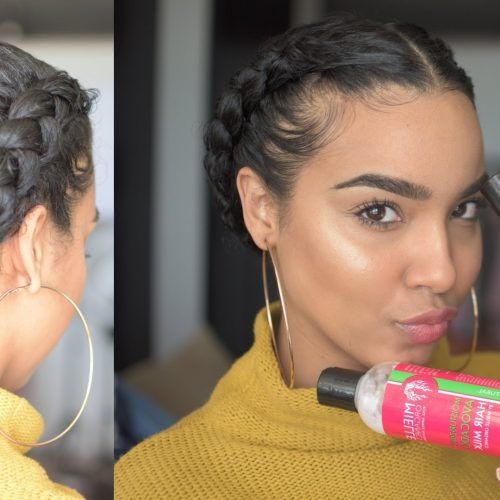 Quick Braided Hairstyles For Natural Hair (Photo 1 of 15)