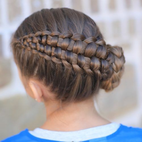 Twin Braid Updo Ponytail Hairstyles (Photo 8 of 20)