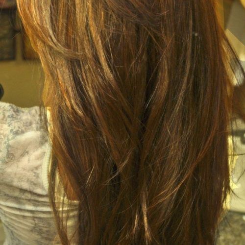 V-Cut Layers Hairstyles For Thick Hair (Photo 3 of 20)