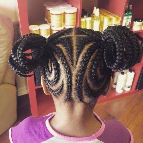 Tiny Braids Hairstyles For Front Pieces (Photo 12 of 20)