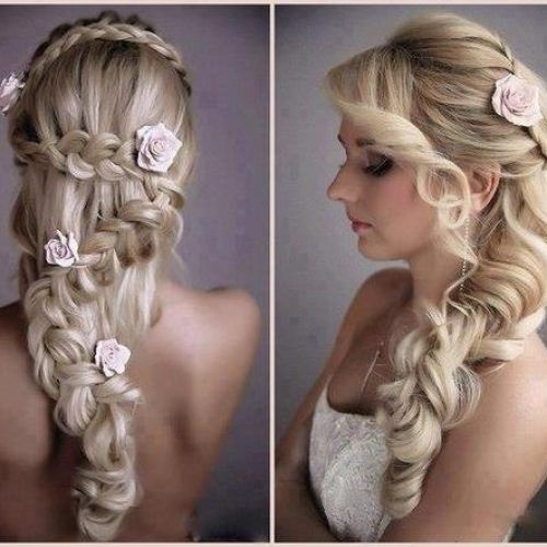 Long Hairstyles With Braids (Photo 11 of 15)