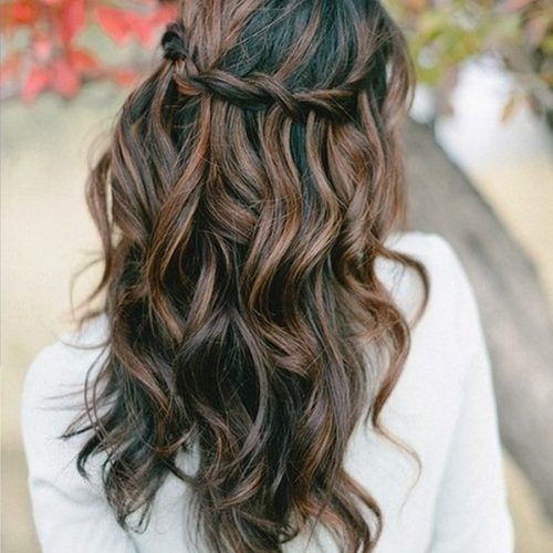Braids With Curls Hairstyles (Photo 14 of 20)