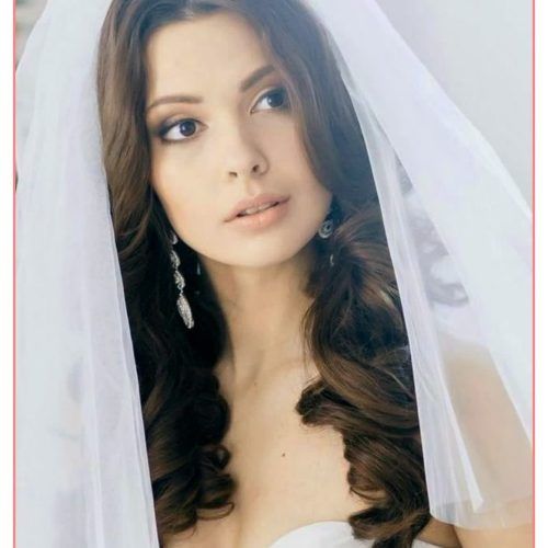 Wedding Hairstyles With Veil Over Face (Photo 16 of 17)
