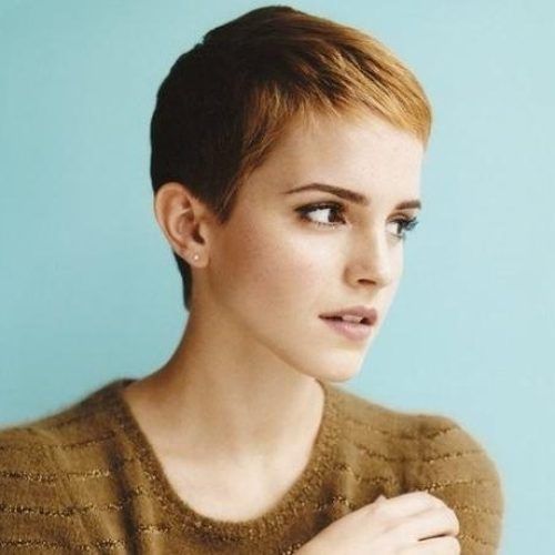 Pixie Haircuts For Oval Face (Photo 14 of 20)