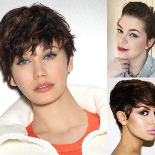Cropped Pixie Haircuts For A Round Face (Photo 4 of 20)