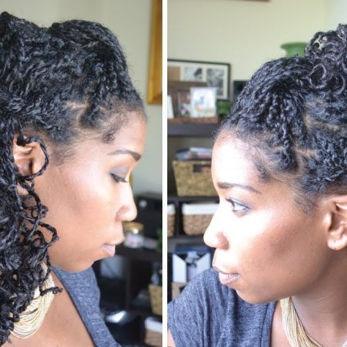 Quick Braided Hairstyles For Natural Hair (Photo 13 of 15)