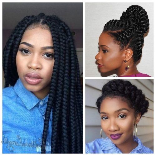 Braided Hairstyles For Relaxed Hair (Photo 5 of 15)