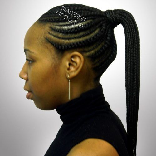 Fiercely Braided Ponytail Hairstyles (Photo 4 of 20)