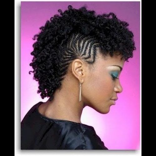 Black Twisted Mohawk Braid Hairstyles (Photo 5 of 20)