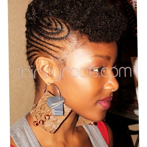 Black Girl Braided Hairstyles (Photo 11 of 15)