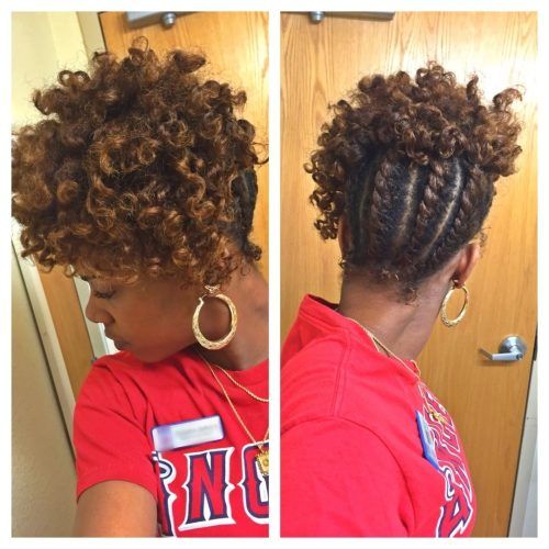 Twist Updo Hairstyles For Black Hair (Photo 11 of 15)