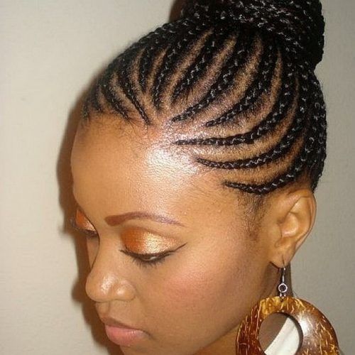 African Braid Updo Hairstyles (Photo 5 of 15)