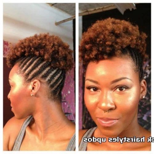 Black Natural Updo Hairstyles (Photo 7 of 15)