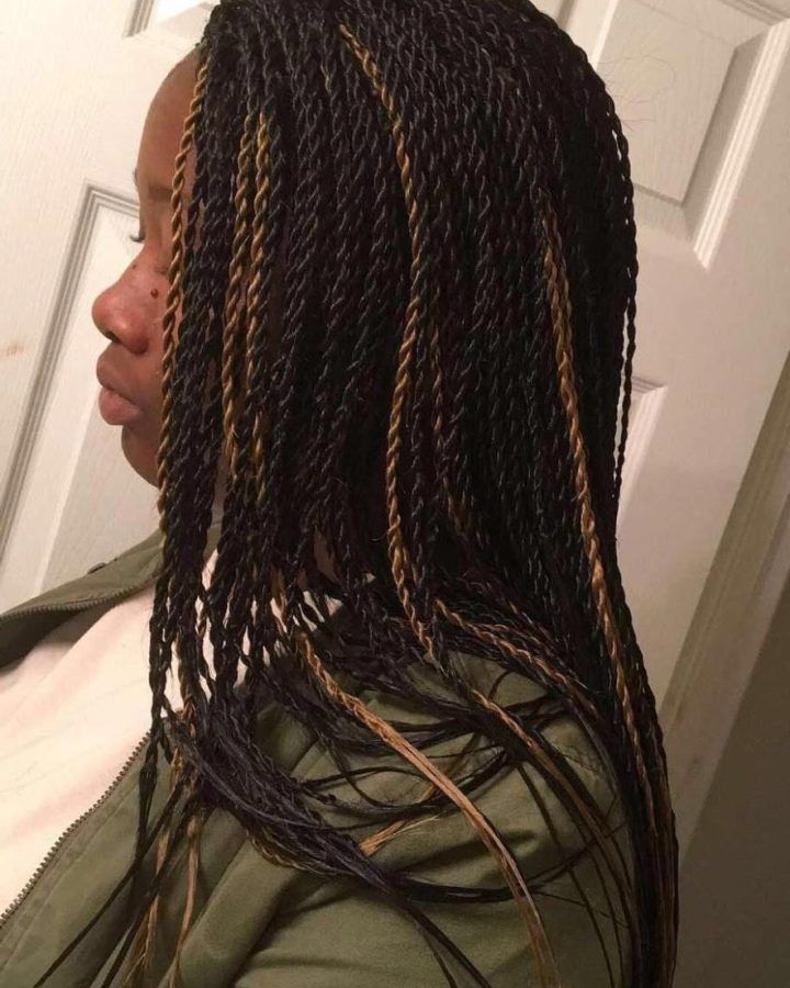 20 Ideas of Long Twists Invisible Braids with Highlights