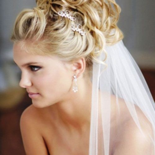 Tender Bridal Hairstyles With A Veil (Photo 5 of 20)