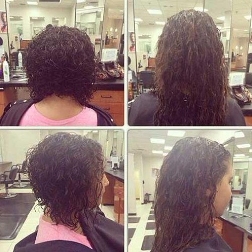 Inverted Bob Hairstyles For Curly Hair (Photo 15 of 15)
