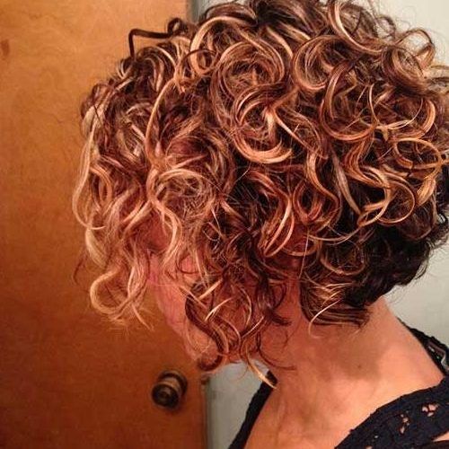 Short Curly Inverted Bob Hairstyles (Photo 5 of 15)