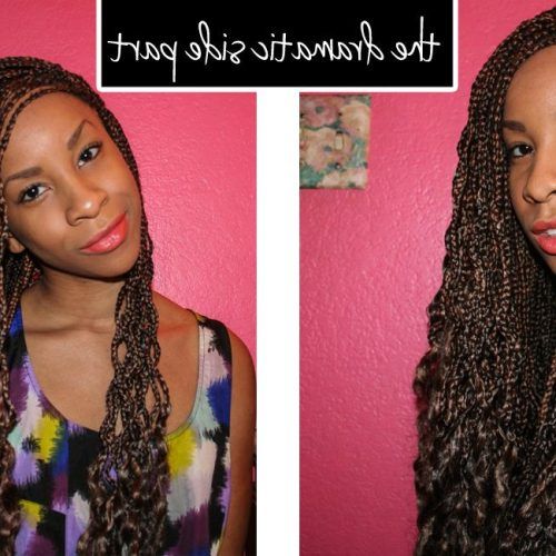 Dramatic Side Part Braided Hairstyles (Photo 2 of 20)