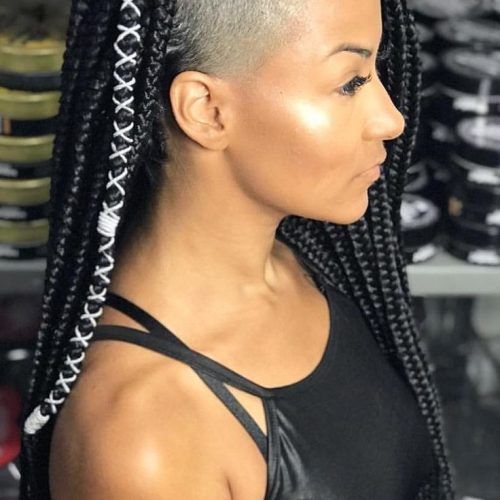 Side-Shaved Cornrows Braids Hairstyles (Photo 11 of 21)