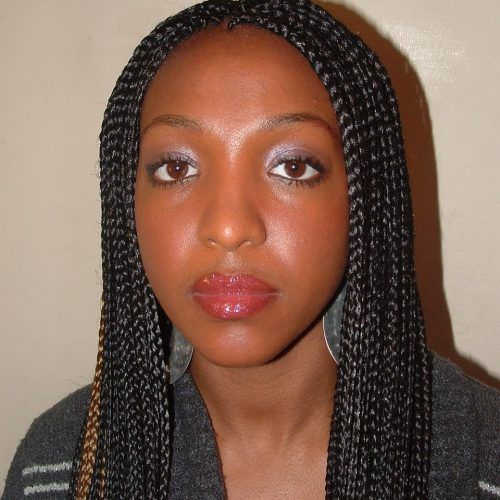 Braided Hairstyles For Relaxed Hair (Photo 11 of 15)