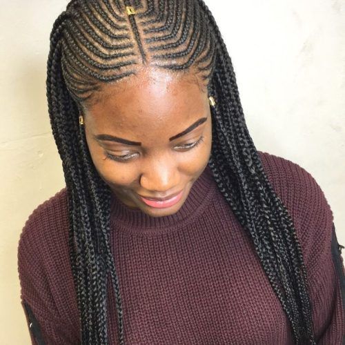 Angled Cornrows Hairstyles With Braided Parts (Photo 6 of 20)