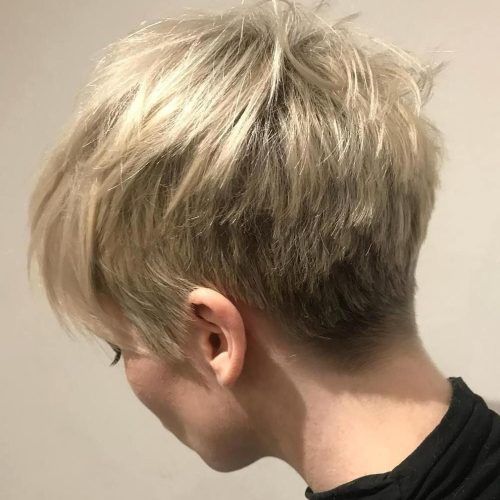Tapered Pixie Boyish Haircuts For Round Faces (Photo 10 of 20)