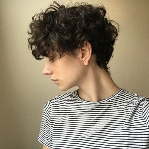 Growing-Out Pixie Hairstyles For Curly Hair (Photo 11 of 20)