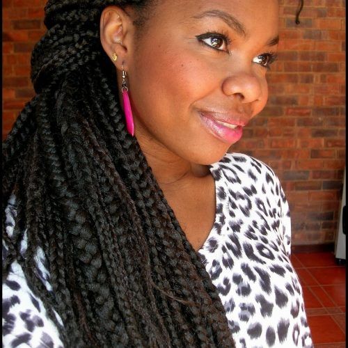 South Africa Braided Hairstyles (Photo 1 of 15)