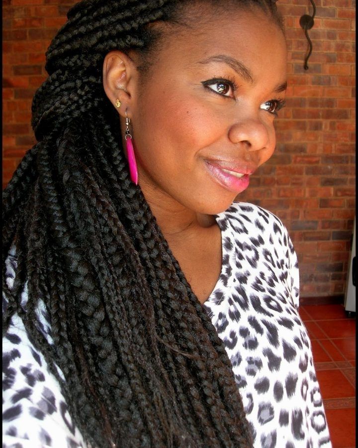 15 Best Collection of South Africa Braided Hairstyles