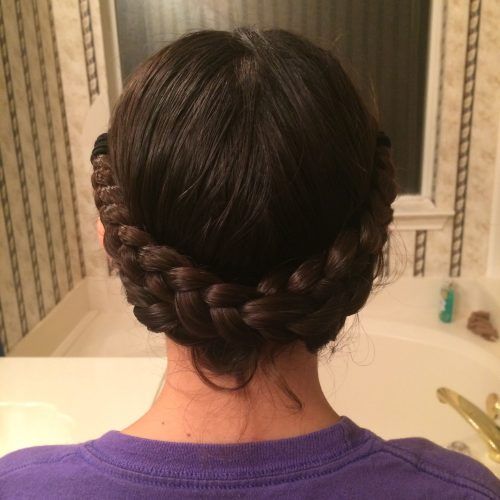 Braided And Wrapped Hairstyles (Photo 2 of 20)