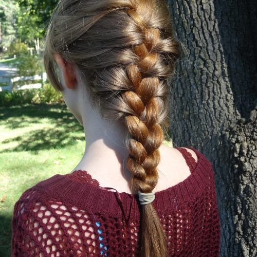 Three Strand Pigtails Braid Hairstyles (Photo 19 of 20)