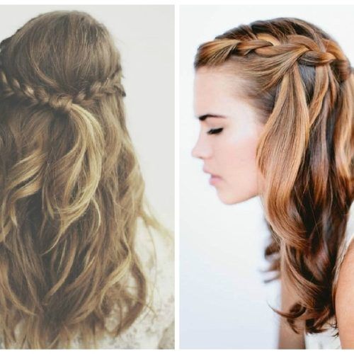 Braided Hairstyles With Hair Down (Photo 5 of 15)