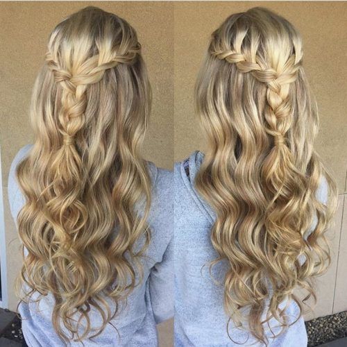 Down Braided Hairstyles (Photo 6 of 15)