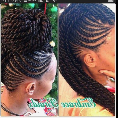 Mohawk Braided Hairstyles (Photo 3 of 15)