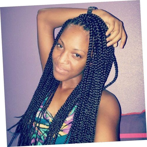 Poetic Justice Braids Hairstyles (Photo 8 of 15)
