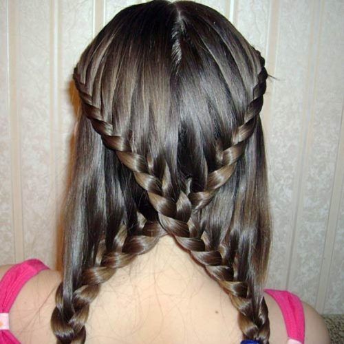 Braided Hairstyles For Straight Hair (Photo 8 of 15)