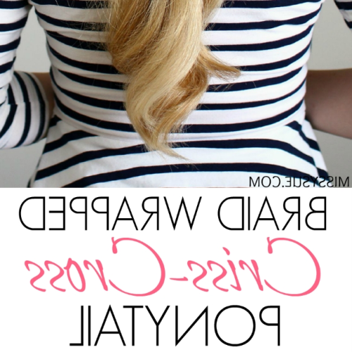 The Criss-Cross Ponytail Hairstyles (Photo 13 of 20)