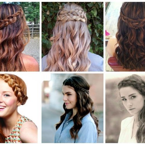 Braided Hairstyles With Hair Down (Photo 15 of 15)