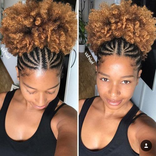 Braided Hairstyles For Short Natural Hair (Photo 8 of 15)
