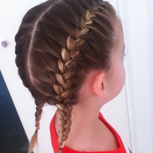 Braided Hairstyles For School (Photo 8 of 15)