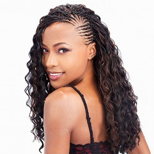 Braided Hairstyles For Vacation (Photo 1 of 15)