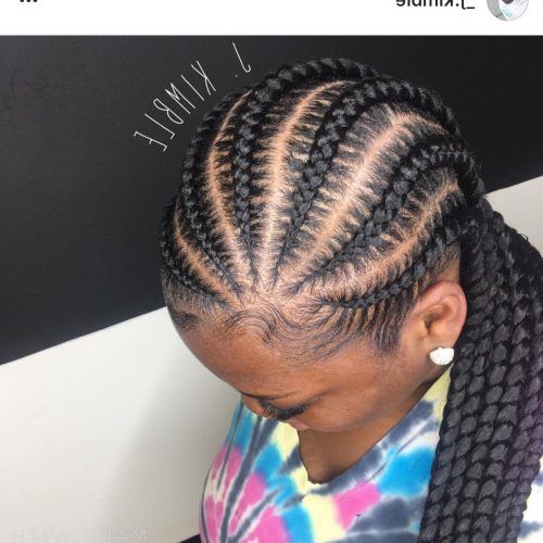 Angled Cornrows Hairstyles With Braided Parts (Photo 2 of 20)