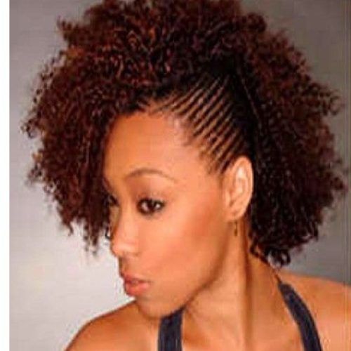 Braids And Curls Mohawk Hairstyles (Photo 6 of 20)