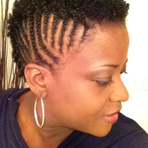 Braided Mohawk Hairstyles For Short Hair (Photo 1 of 20)